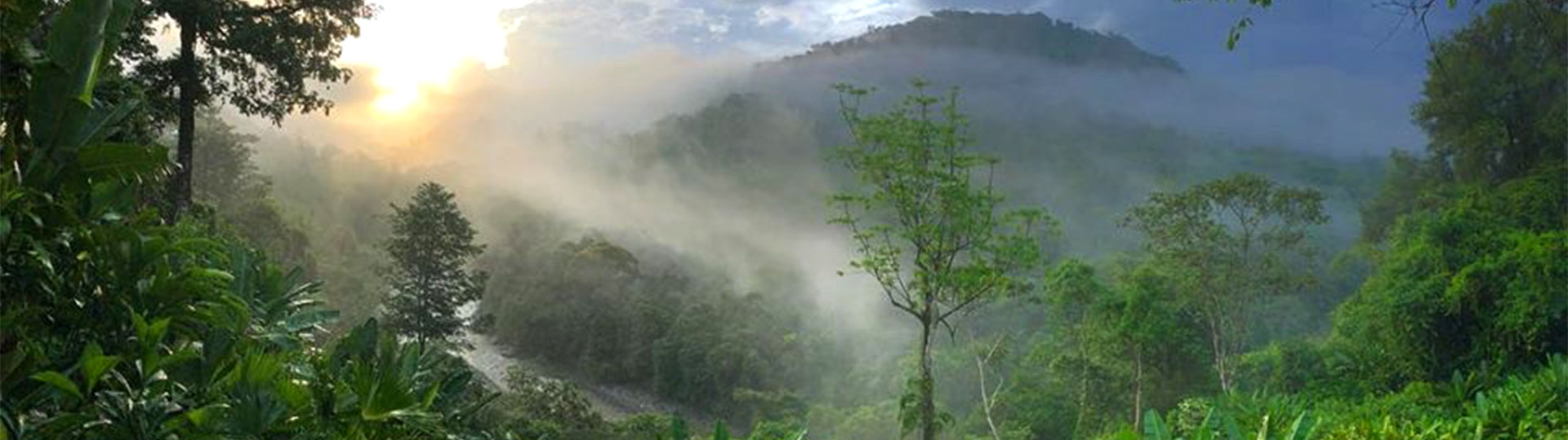 Dschungel-Lodge Pacuare Outdoor Center Banner