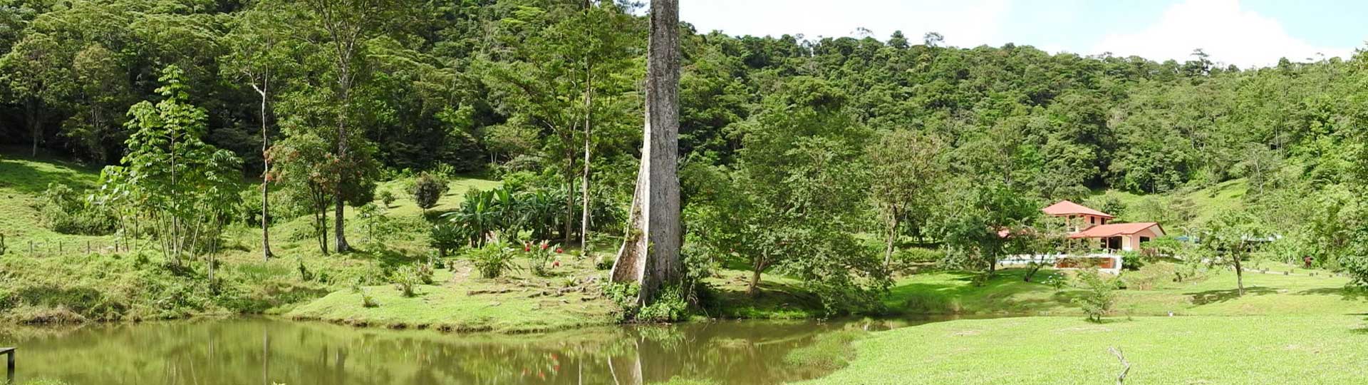 Finca Mei Tai