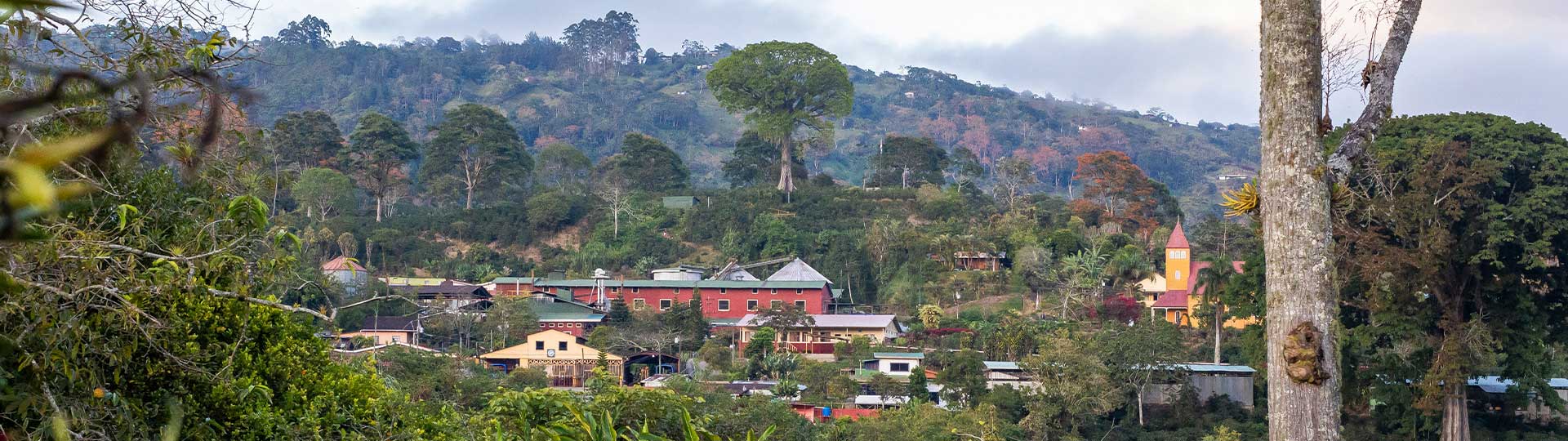 Hacienda La Esperanza Aquirares
