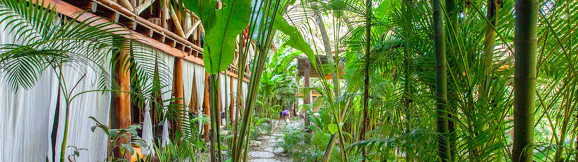 Hotel Canaima Chill House Banner
