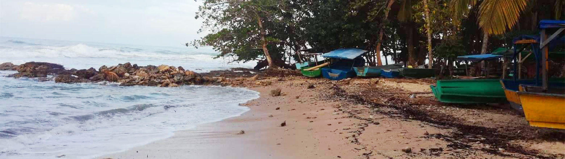 Naturkundliche Exkursion im Nationalpark Cahuita Banner