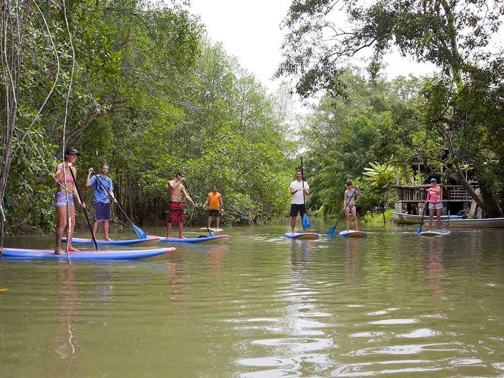 SUP-Tour in den Mangroven-01